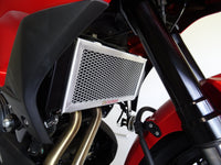 Kawasaki Versys 650 ABS / L ABS 2015-2025 Radiator Guard
