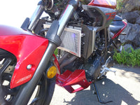 Yamaha MT-03 2016-2025 Radiator Guard