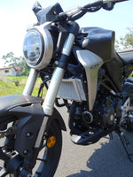 Honda CB 300R 2018-25 Radiator Guard