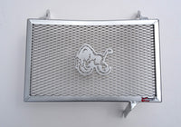 Ducati Monster 937cc All Models 2021-25 Radiator Guard