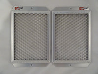 Triumph Tiger 900 GT Pro / Rally 2020-24 Radiator Guards