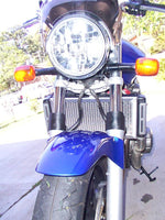 Honda Hornet CB900 2000-2008 - Radiator Guard