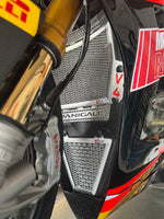 Ducati Panigale V4 S/R 2018 - 2024 Radiator Guard