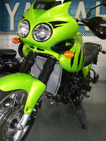 Triumph Tiger 2000-2006 Radiator & Oil Guard