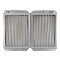 Triumph Tiger 850, Radiator Guard, Rad Guard, Stone Guard, radiator protection, stone grill, motorcycle guard