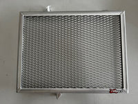 Triumph Trident 660 2021-2025 Radiator Guard