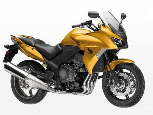 Honda CBF1000 2008-2013 Radiator Guard| Rad Guard