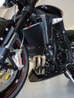 Triumph Speed Triple 2006-2010 (5 Bar) Radiator & Oil Guard