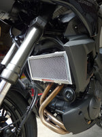 Kawasaki Versys 650  2011-2014 - Radiator Guard