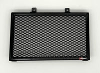 BMW Fun-Duro 1995-2000 - Radiator Guard