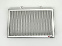 BMW Fun-Duro 1995-2000 - Radiator Guard