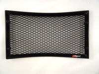 BMW F750GS  2018-2024  Radiator Guard