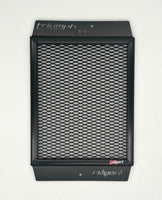 Triumph Tracker 400 2026 Radiator Guard