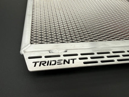 Polished Rad Guard Triumph Trident 