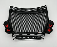 Ducati Panigale V4 S/R 2018 - 2024 Radiator Guard