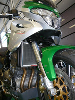 Benelli Tre-K & Amazonas 2008-2014  Radiator Guard