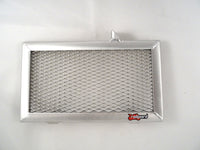 Suzuki Inazuma GW 250 2013 - 2016 Radiator Guard