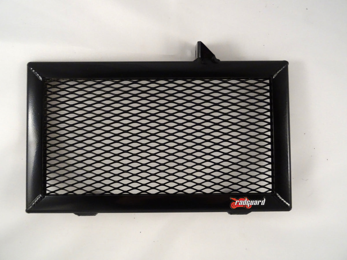 Suzuki Inazuma GW 250 2013 - 2016 Radiator Guard| Rad Guard