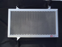 Suzuki V-Strom 1050DE / DL1050 / XT 2020-2025 Radiator Guard