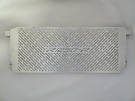 BMW R 1250 RS, Radiator Guard, Rad Guard, Stone guard, radiator protection, Protector, stone grill, motorcycle