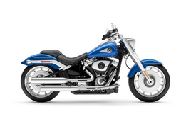 HD Fat Boy / Gray Ghost 117 2025-2026 Rad Guard