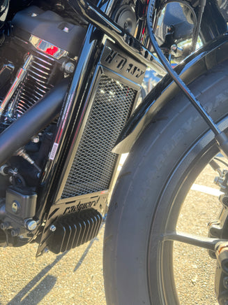 Close-up of a motorcycle engine and exhaust system on a textured surface with a rad guard fitted to a Harley Davidson Low Rider ST 117 