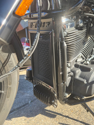 Harley Davidson Low Rider ST 117 with the black rad guard fitted