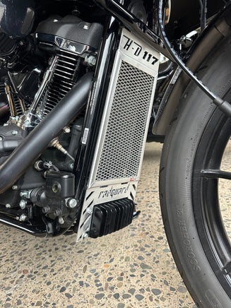 Harley Davidson Low Rider ST 117 rad guard fitted to give so much protection from rocks and road debris in the polished alloy