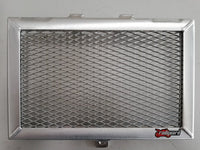 Moto Guzzi Stelvio 1200 NTX ABS Moto Guzzi Stelvio 1200 ABS radiator guard 