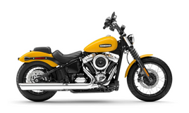 Harley Davidson Street Bob 117 2025-2026 Rad Guard
