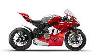 Ducati Panigale V4 S/R 2018 - 2024 Radiator Guard