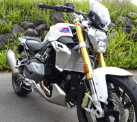 BMW R 1250 R, Radiator Guard, Rad Guard, Stone guard, radiator protection, Protector, stone grill, motorcycle