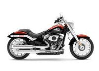HD Fat Boy / Gray Ghost 117 2025-2026 Rad Guard