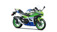 Kawasaki Ninja 500R 2024