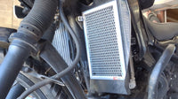 Kawasaki KLR650 2008-2021 Radiator Guard