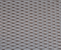 Expanded Mesh 300mm x 300mm polished alloy