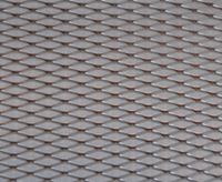 Expanded Mesh 300mm x 300mm polished alloy