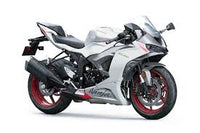 Kawasaki ZX-6R  2022-2025 Radiator Guard